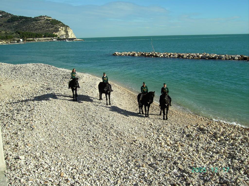 Monte SantʼAngelo Hotel Menta E Rosmarino المظهر الخارجي الصورة